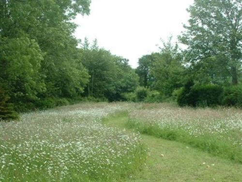 Hazelwood House Bed and Breakfast Bridgend  Εξωτερικό φωτογραφία